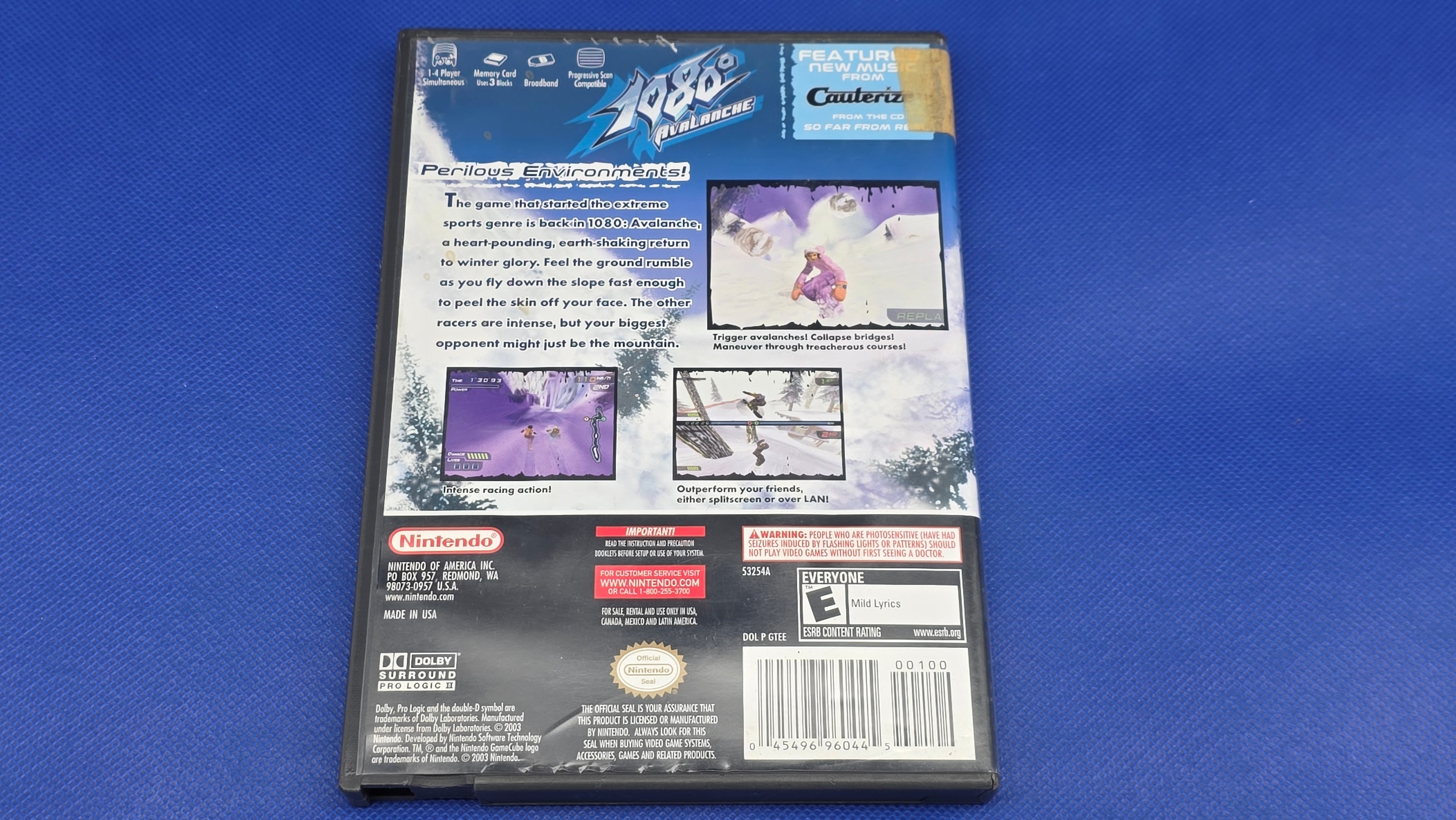 Gamecube  -  1080 Avalanche  -  #650
